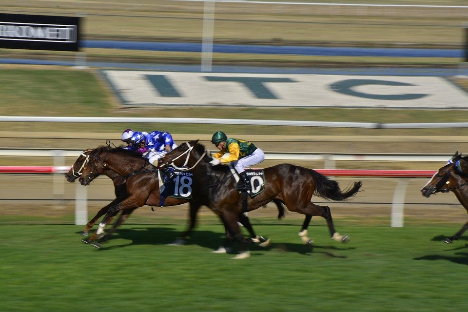 horseracing-2778327_960_720[1].jpg